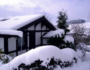 Sauerland Ferienhaus Fewo Hennesee im Winter